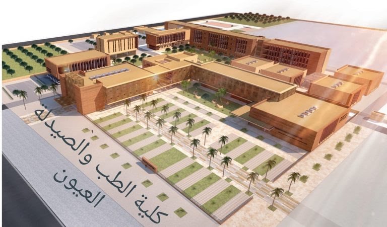افتتاح كلية الطب بمدينة العيون سيتم في الدخول الجامعي المقبل