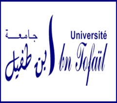 Université Ibn Tofail - pré-inscription 2022-2023